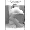 Galaxias explosivas: el arte de David MedallaAutor: Guy BrettEditorial: Alias