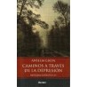 Caminos a través de la depresiónAutor: Anselm GrünEditorial: Herder México