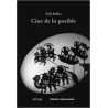 Cine de lo posibleAutor: Érik BullotEditorial: Ediciones Metales pesados