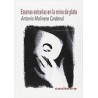 Escenas extrañas en la mina de plataAutor: Antonio Molinero CardenalEditorial: Casimiro