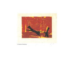 Escritura chamánicaAutor: Víctor RamírezEditorial: Grabados